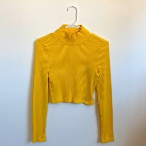 AMERICAN APPAREL KNITTED/RIBBED TURTLENECK Great color & quality!